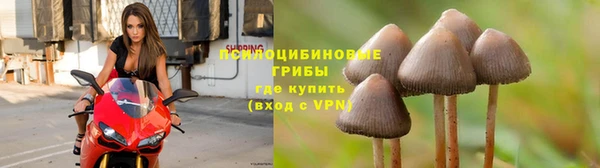 метадон Абаза