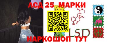 СК Новозыбков