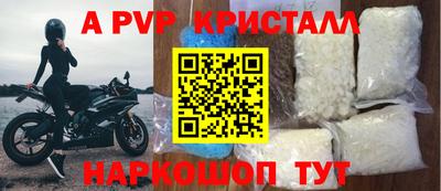 СК Новозыбков